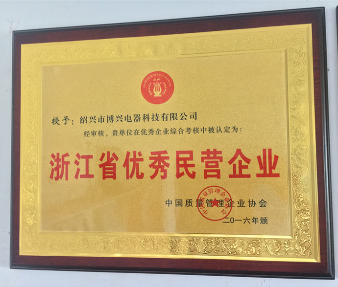 浙江省優(yōu)秀民營企業(yè)