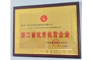 浙江省優(yōu)秀民營企業(yè)